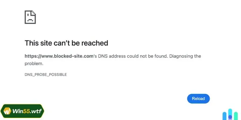 Hoạt động cá cược chưa được chấp nhận ở Việt Nam