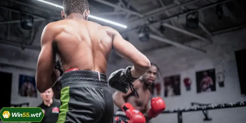 Sơ lược về sảnh cược Quyền Anh tại WIN55